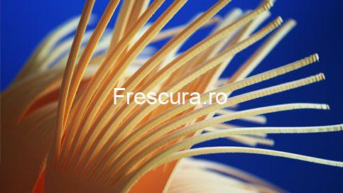 Perii self service Mtm Hydro-Morelite - imagine 2